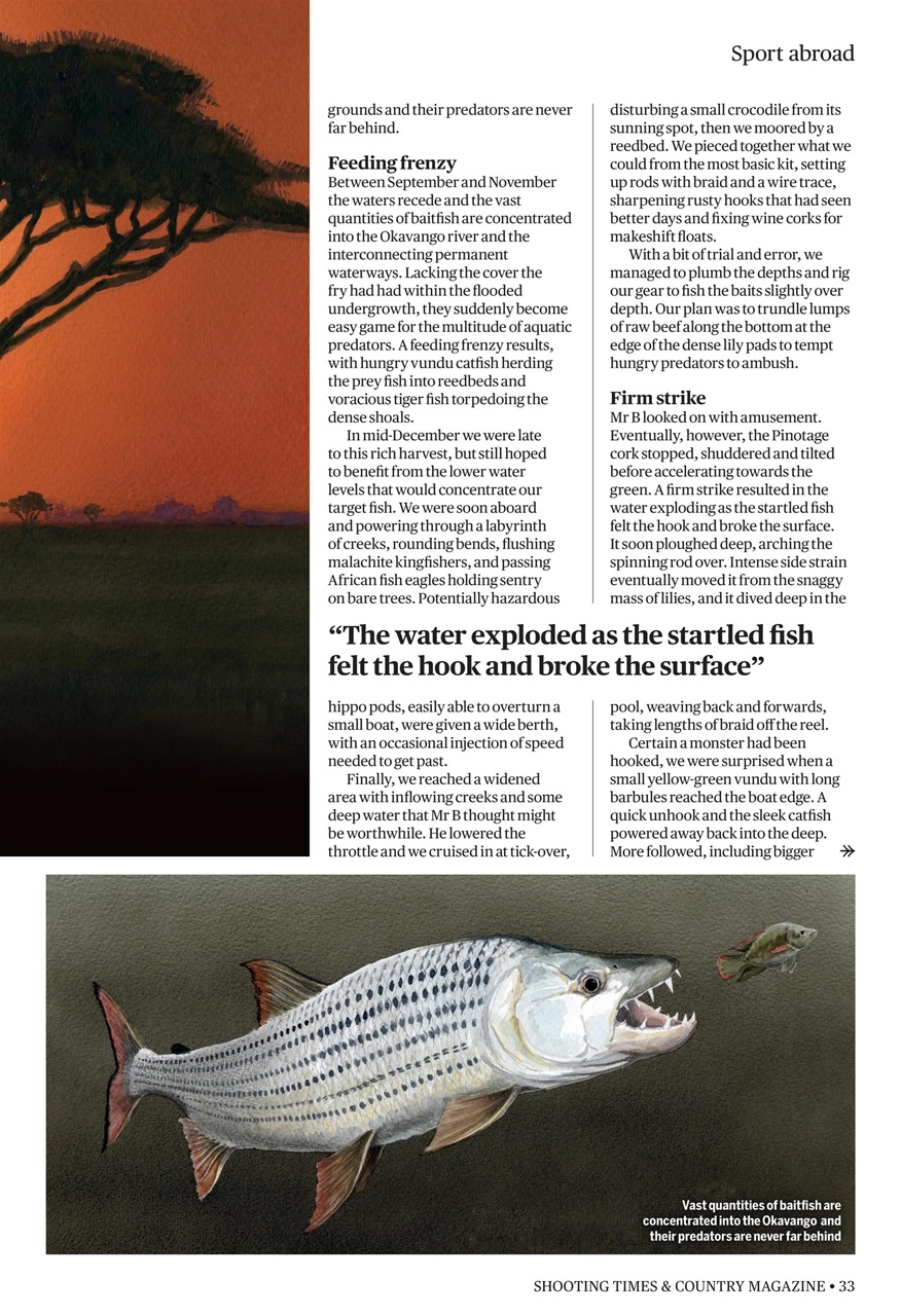 Shooting Times & Country Preview Pages