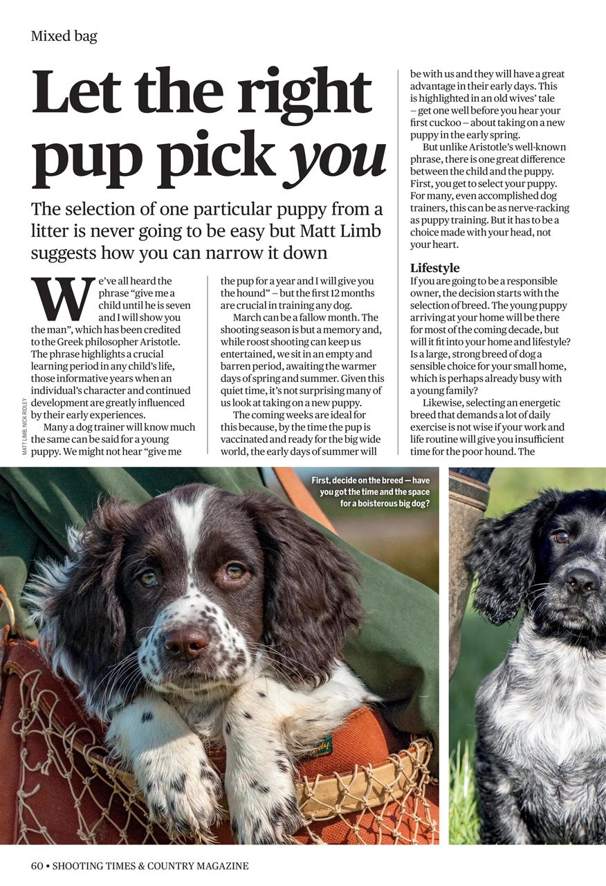 Shooting Times & Country Preview Pages