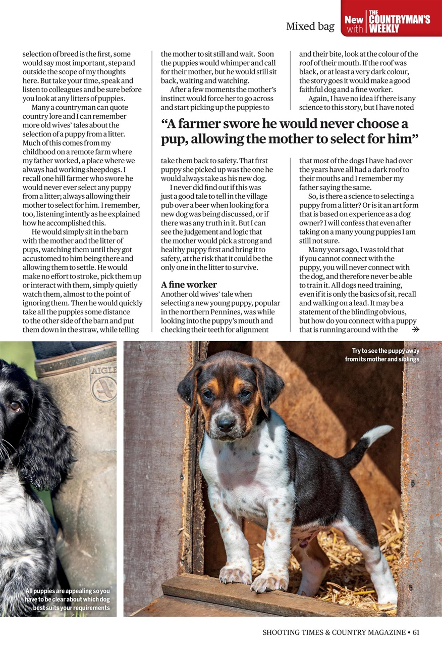 Shooting Times & Country Preview Pages