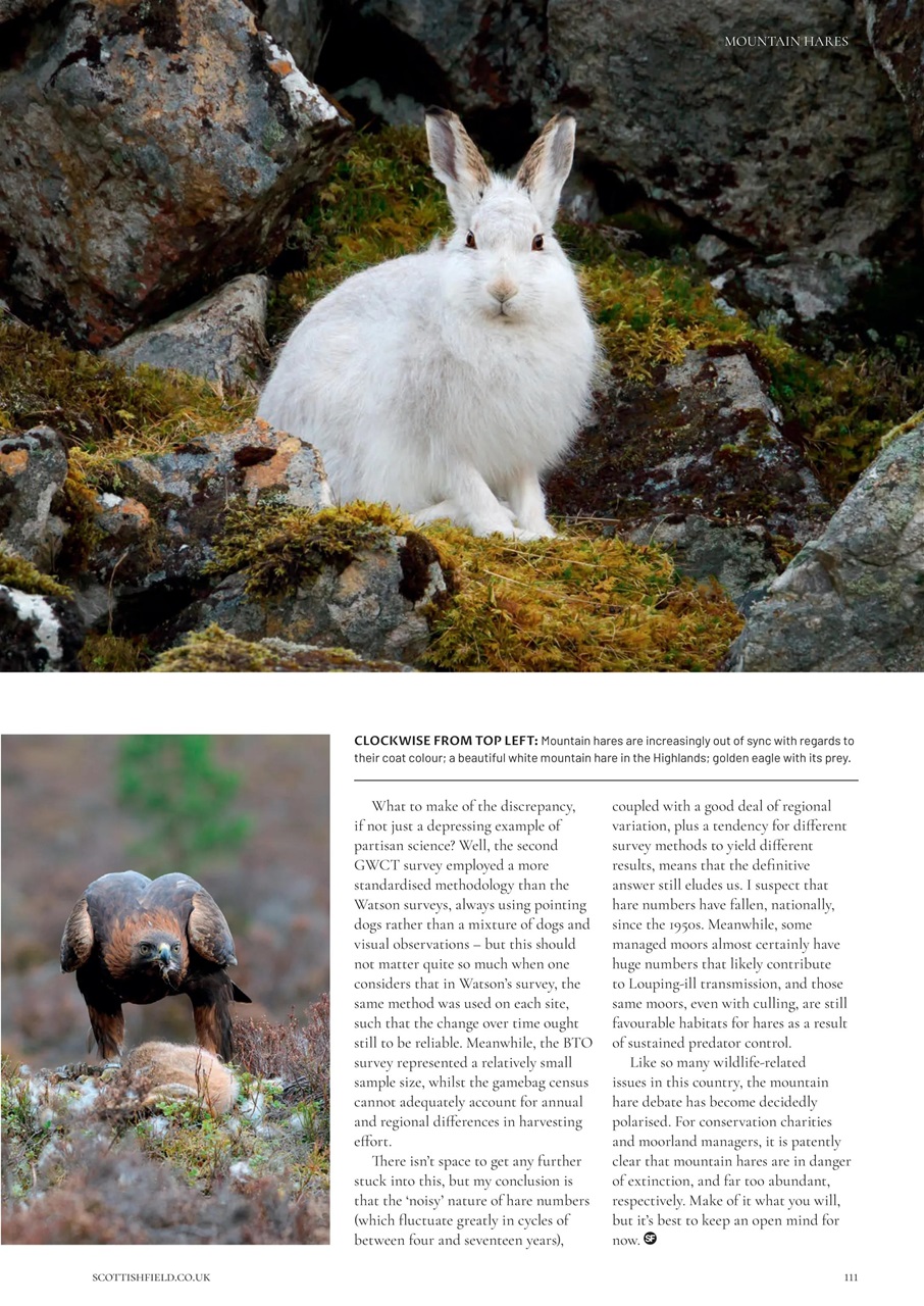 Scottish Field Preview Pages