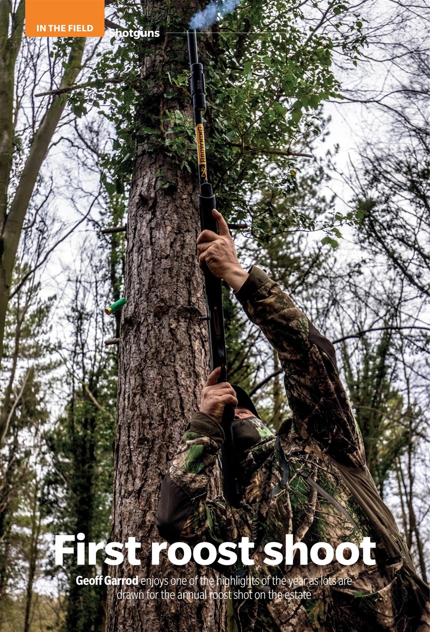 Sporting Gun Preview Pages