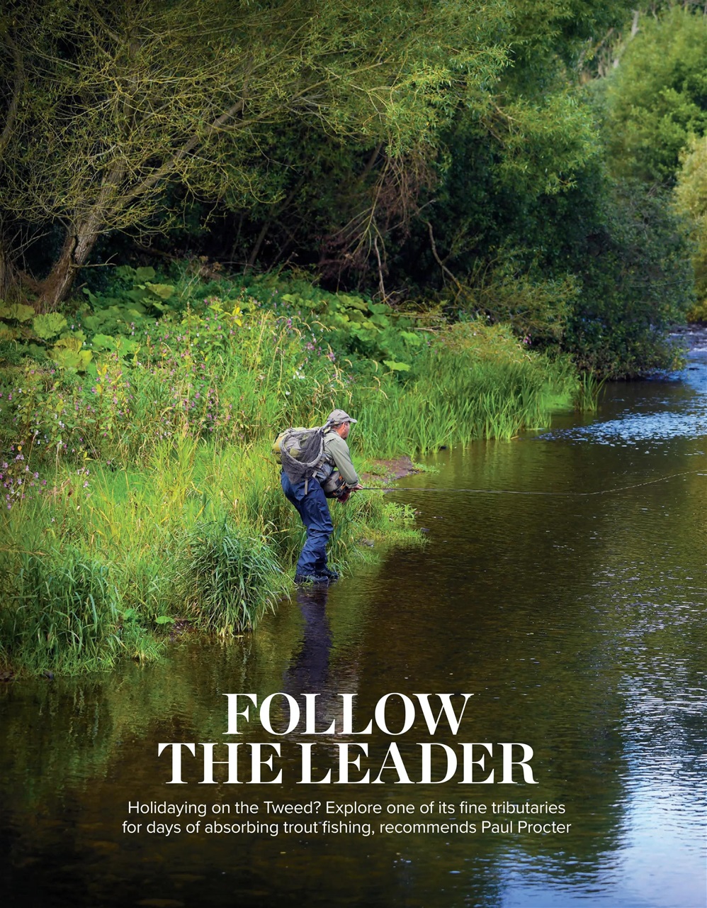 Trout & Salmon Preview Pages