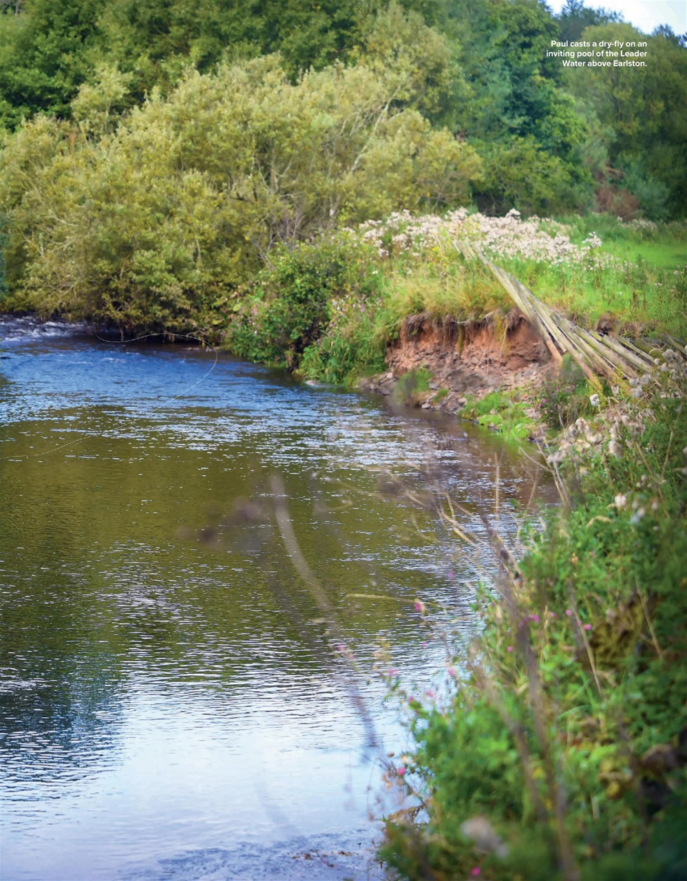 Trout & Salmon Preview Pages