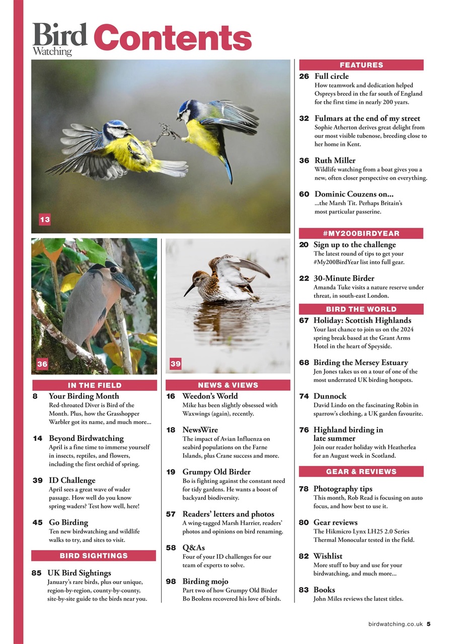 Bird Watching Preview Pages