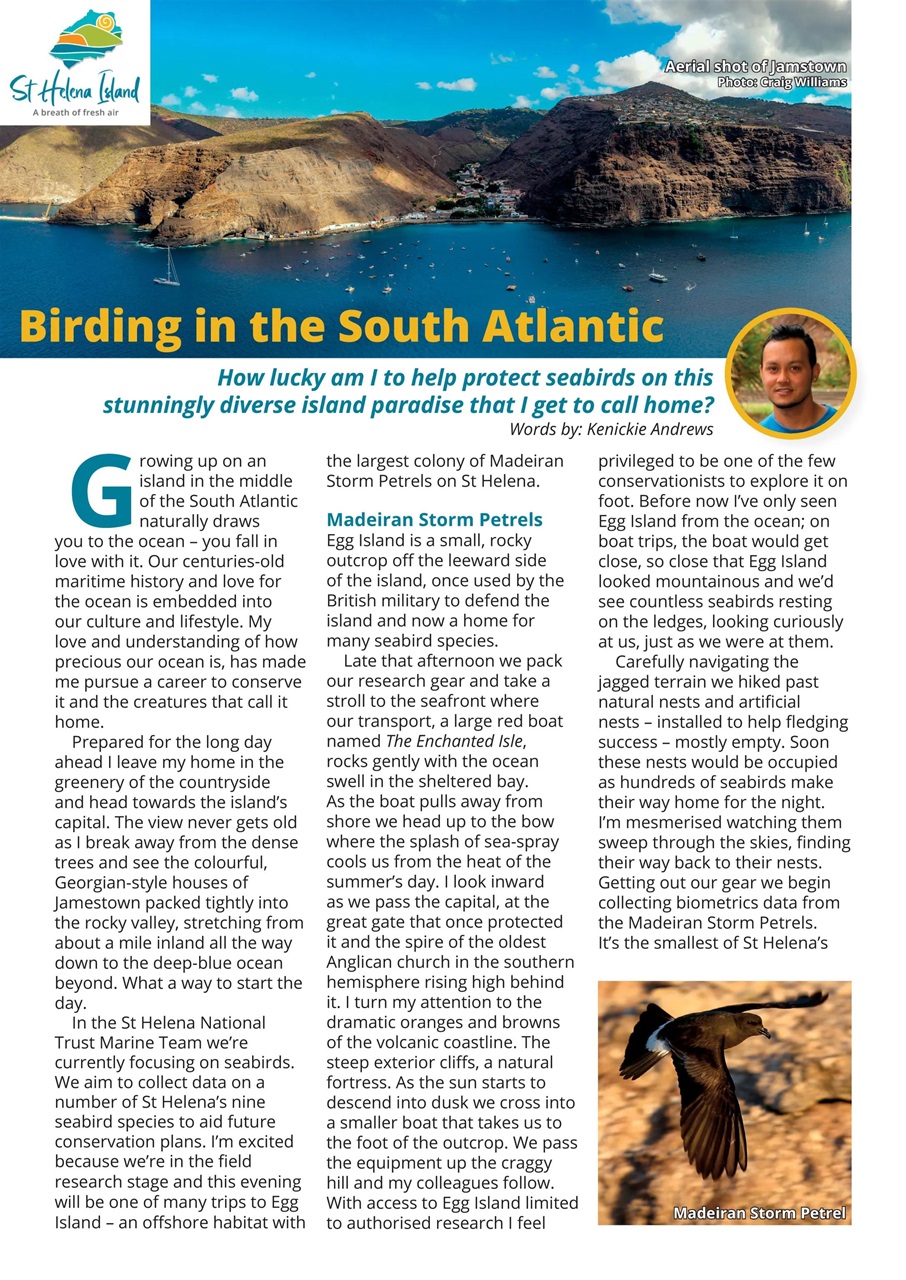 Bird Watching Preview Pages