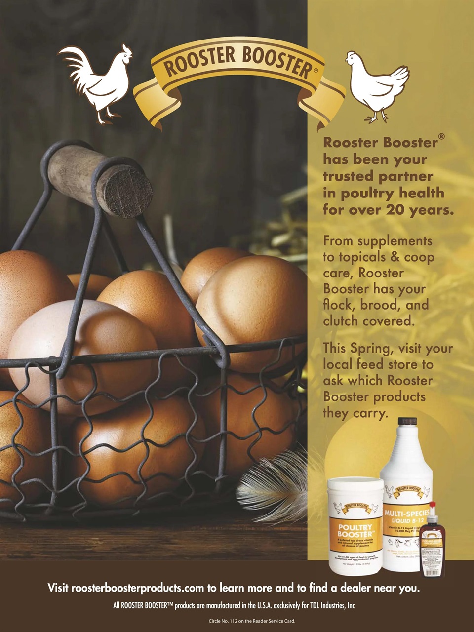 Chickens Magazine Preview Pages