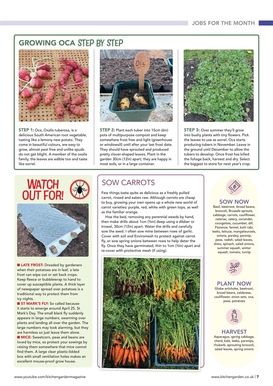 Kitchen Garden Magazine Preview Pages