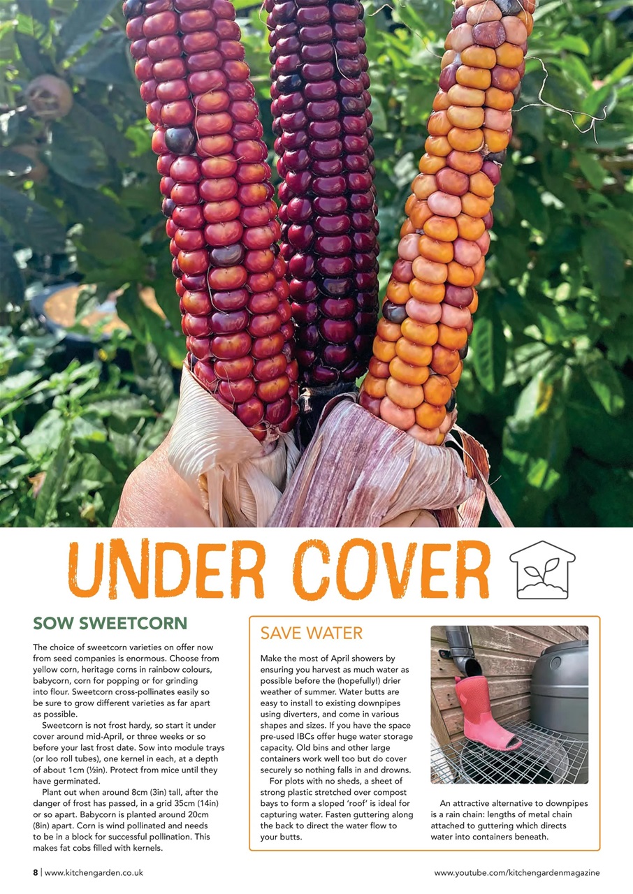 Kitchen Garden Magazine Preview Pages