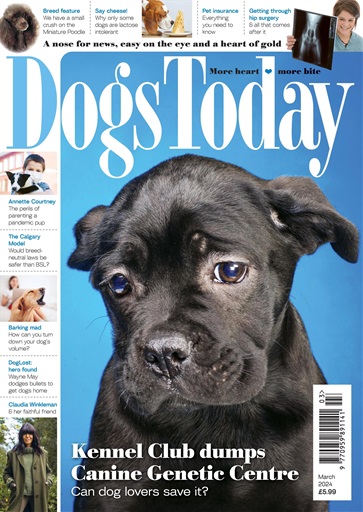 Dogs Today Magazine issue 