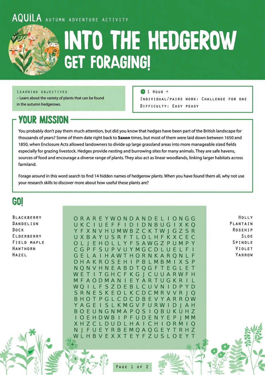 Aquila Preview Pages