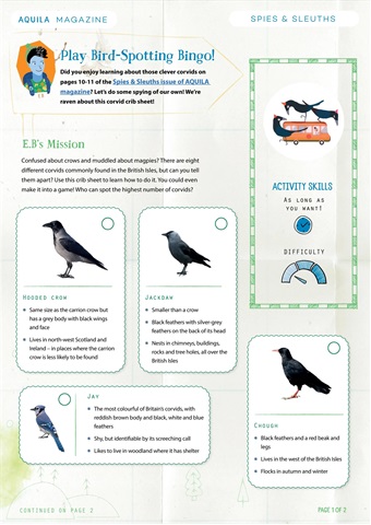 Aquila issue Corvid Crib AQUILA Magazine Awesome Activities