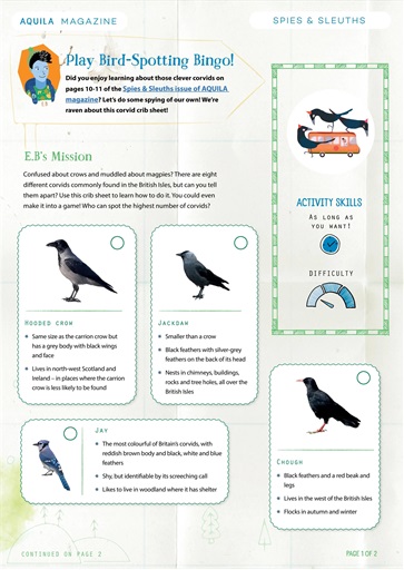 Aquila issue 