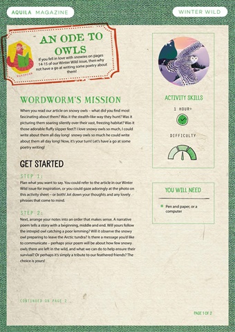 Aquila issue  Write a snowy owl poem