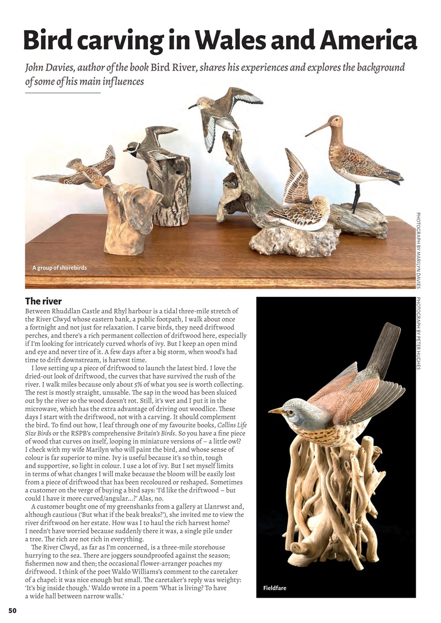 Woodcarving Preview Pages