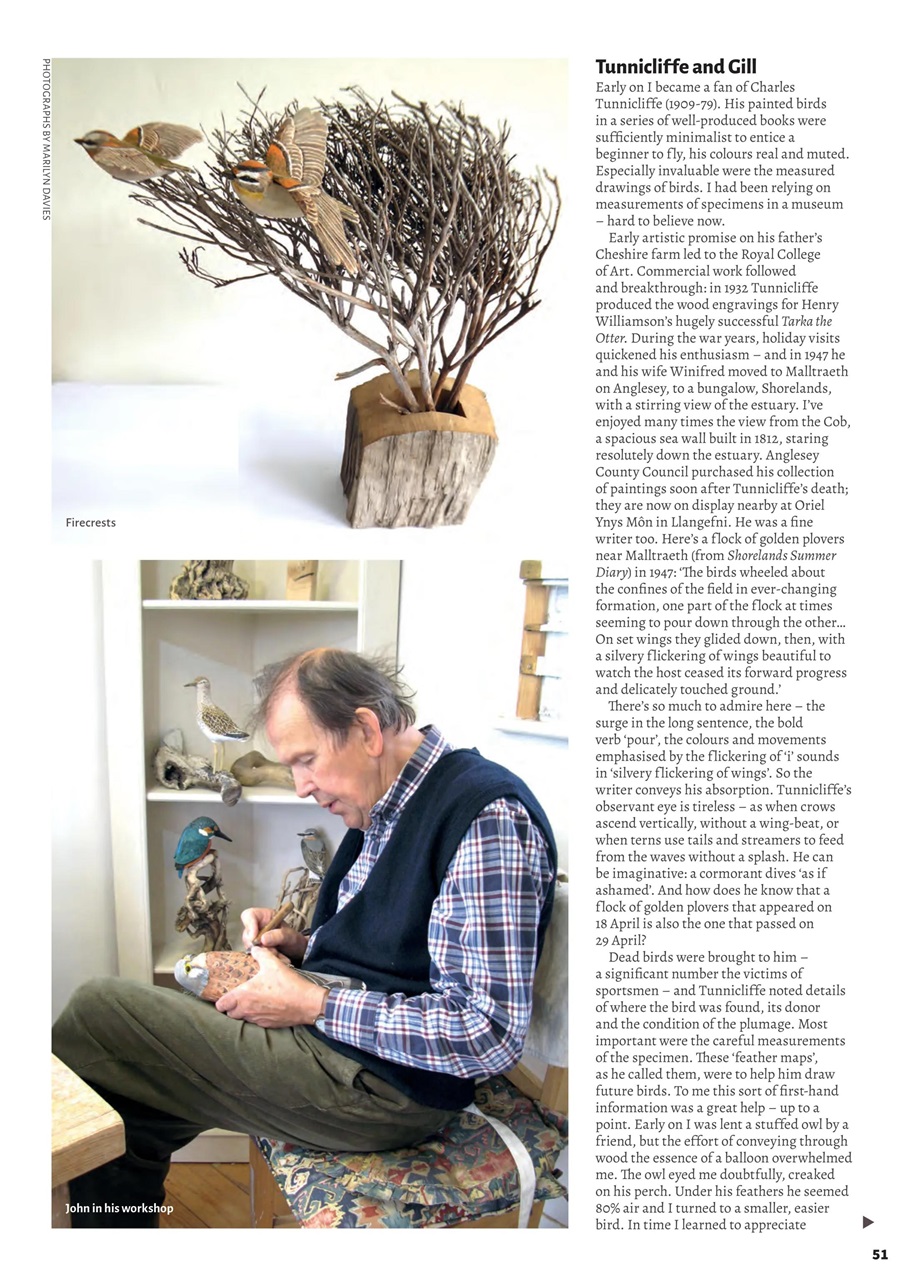 Woodcarving Preview Pages