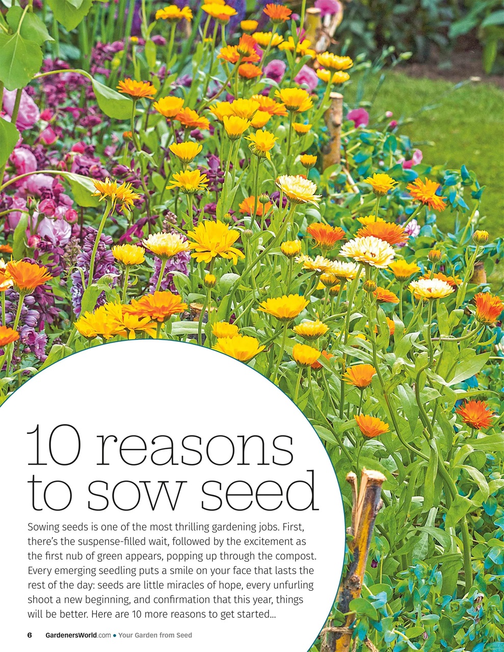 BBC Gardeners’ World Magazine Preview Pages