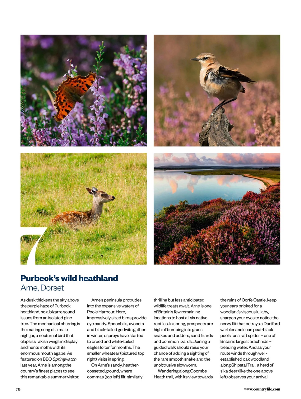 BBC Countryfile Magazine Preview Pages