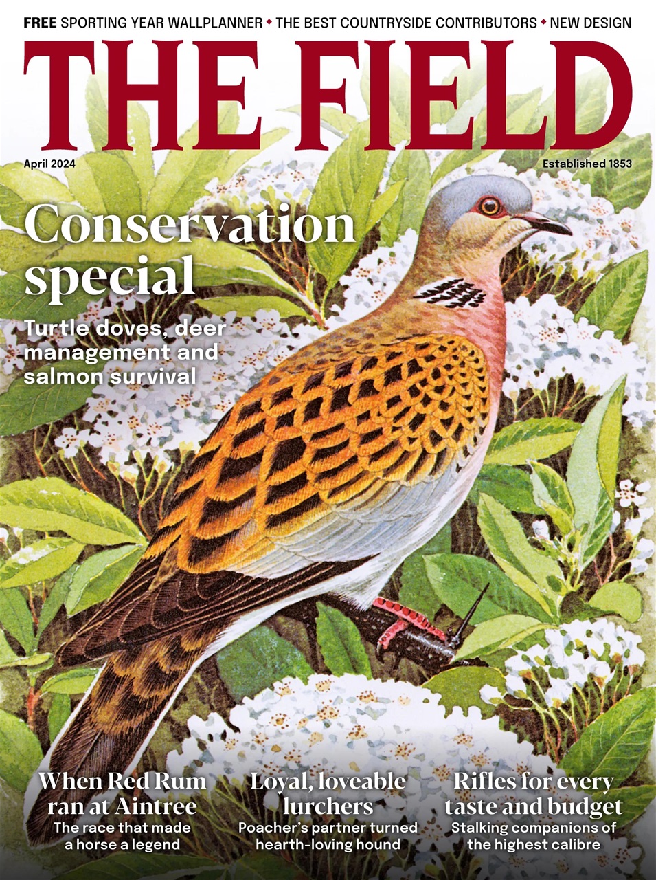 The Field Preview Pages