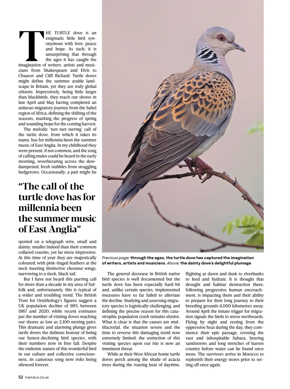 The Field Preview Pages