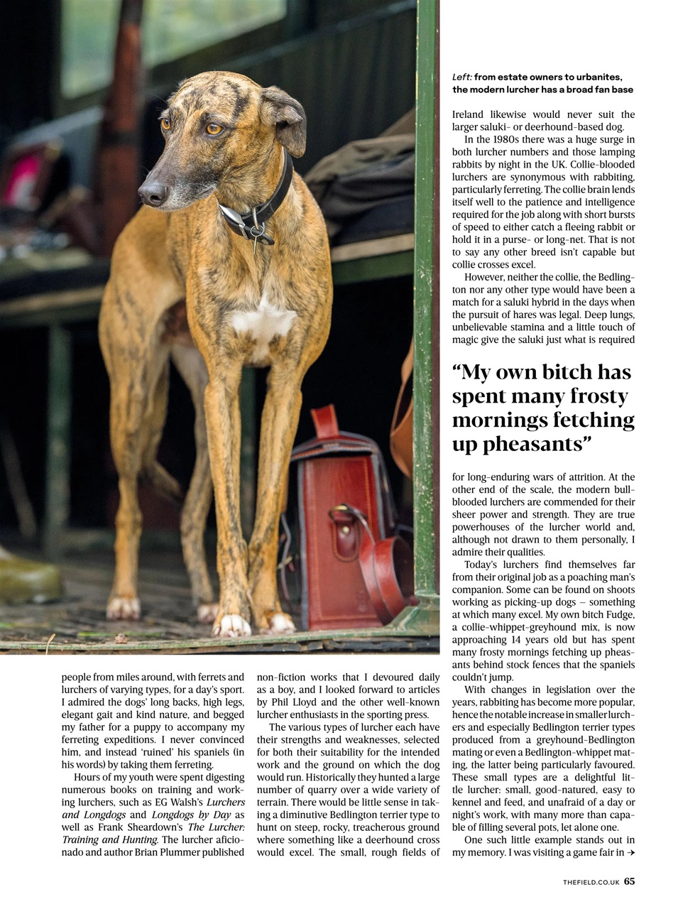 The Field Preview Pages