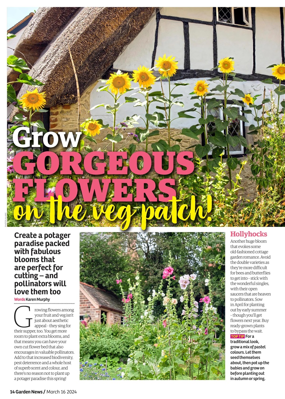 Garden News Preview Pages