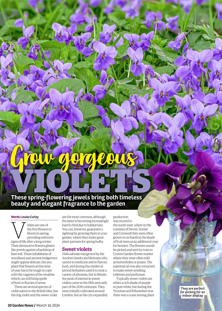 Garden News Preview Pages