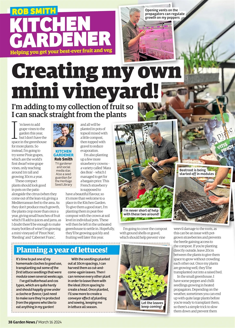 Garden News Preview Pages