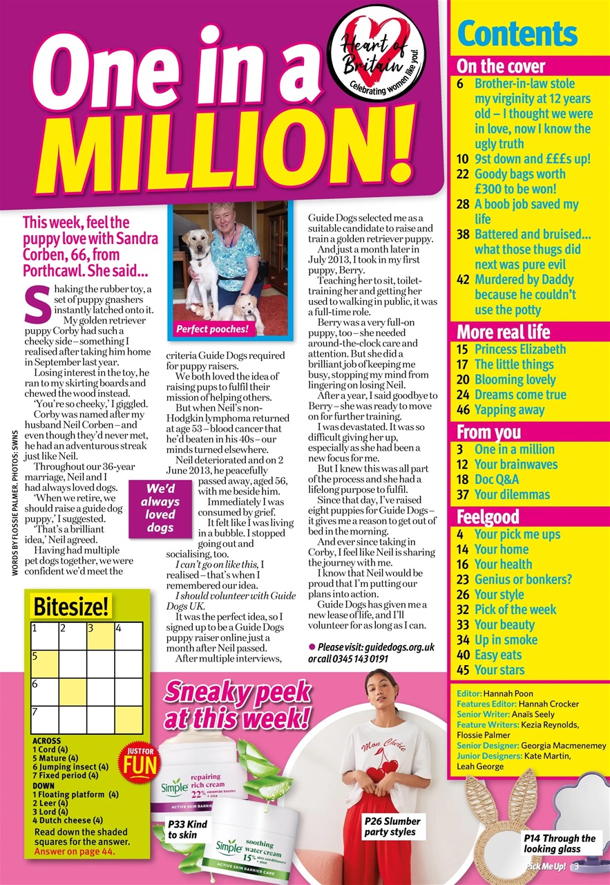 Pick Me Up Preview Pages