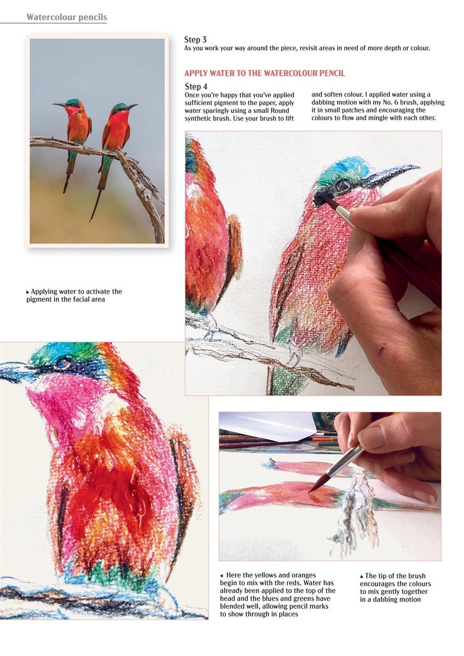 Leisure Painter & The Artist Preview Pages