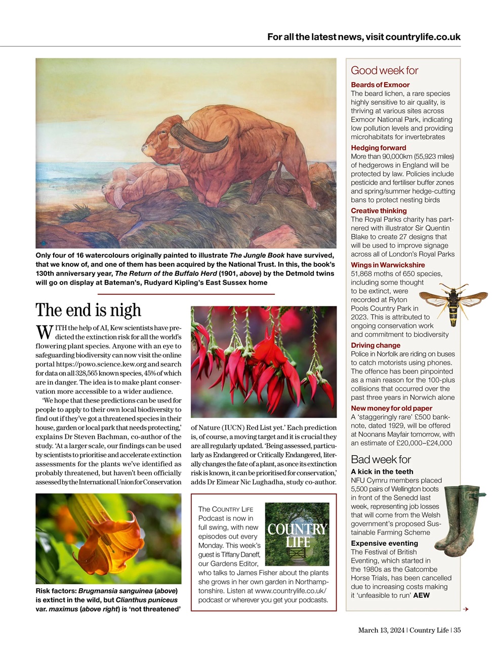 Country Life Preview Pages