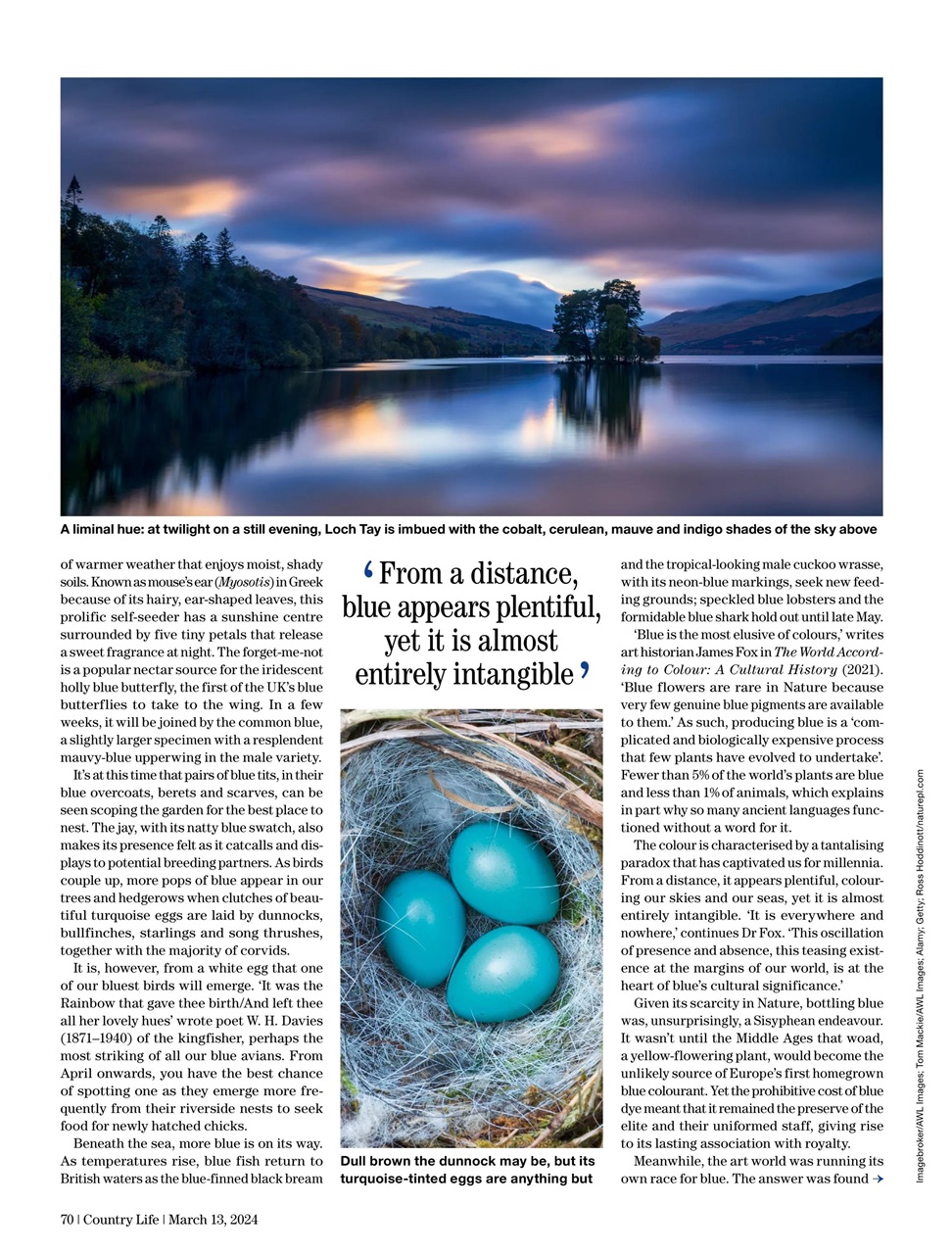 Country Life Preview Pages