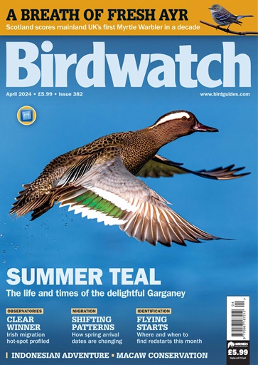 Birdwatch Magazine issue 