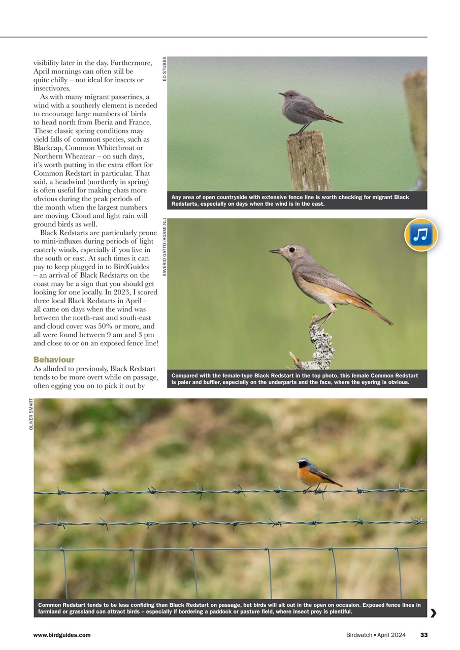 Birdwatch Magazine - April 2024 Back Issue