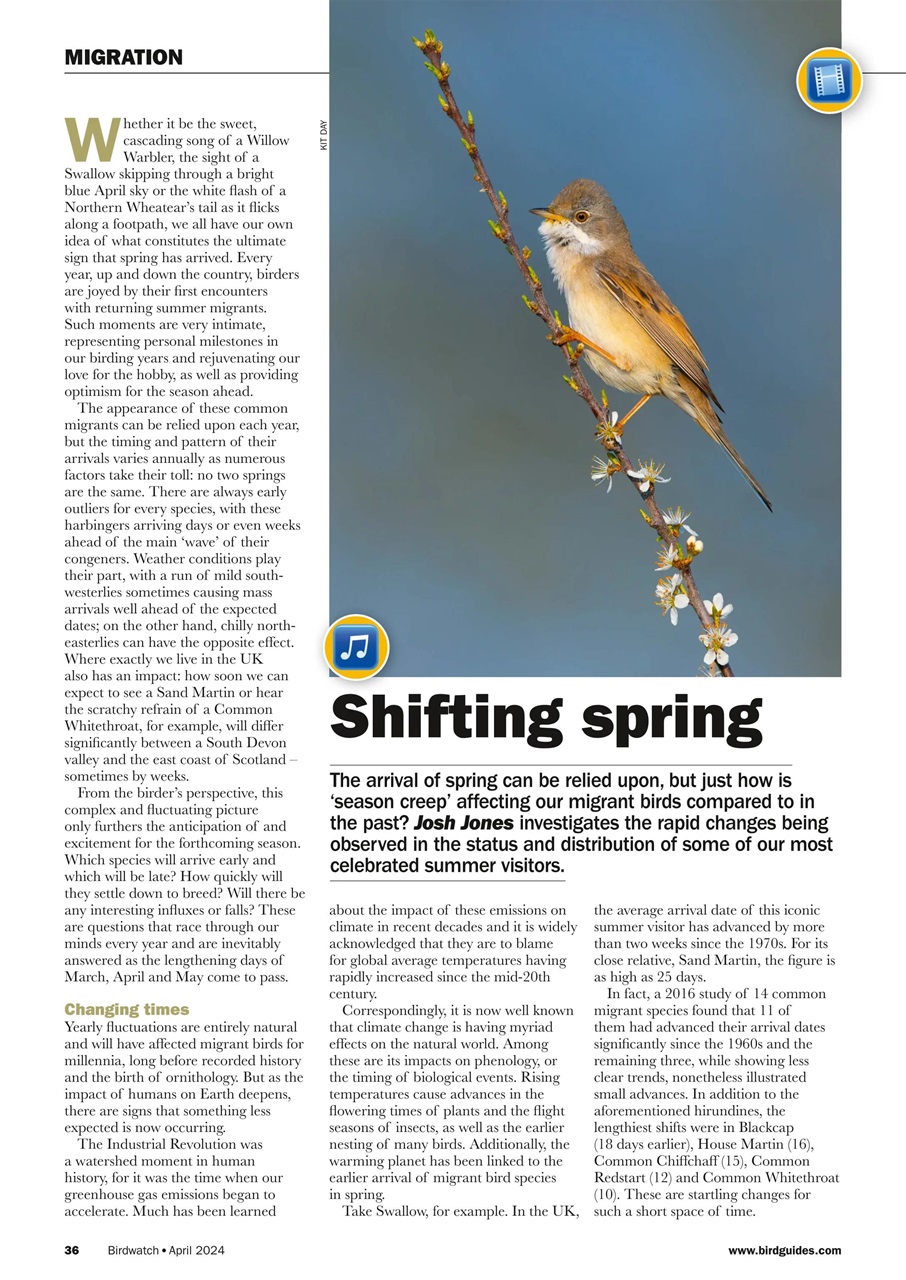 Birdwatch Magazine Preview Pages