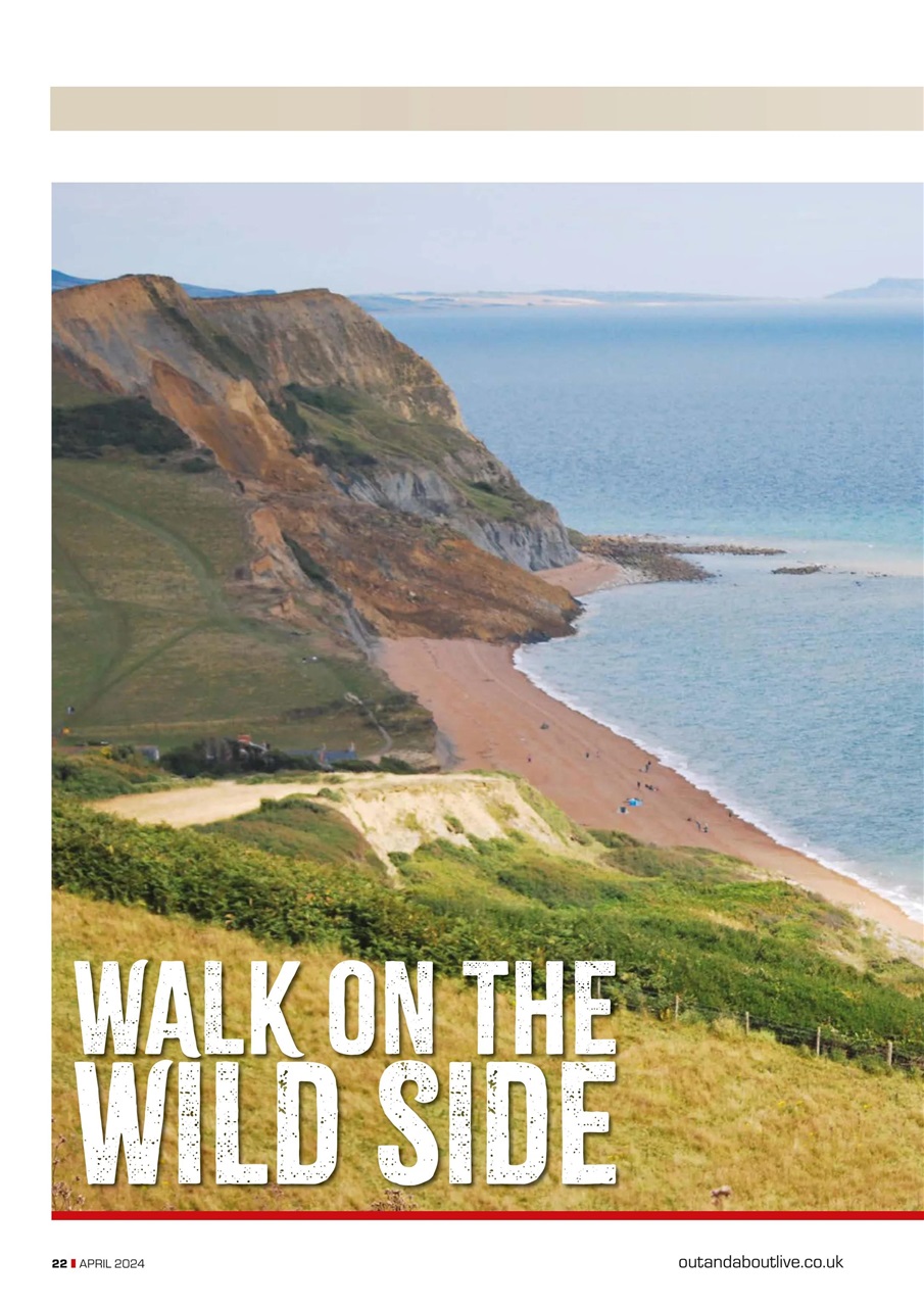 Campervan Preview Pages