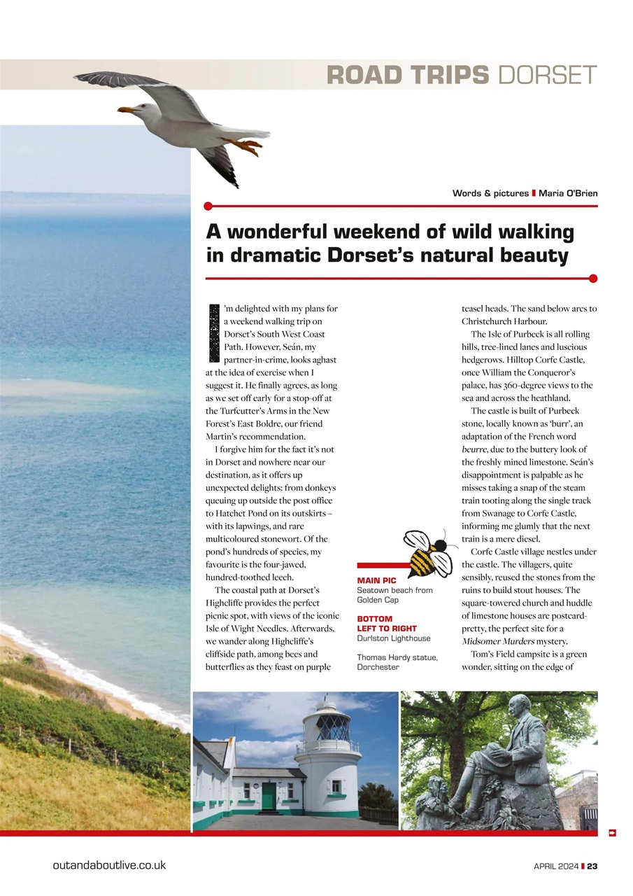 Campervan Preview Pages