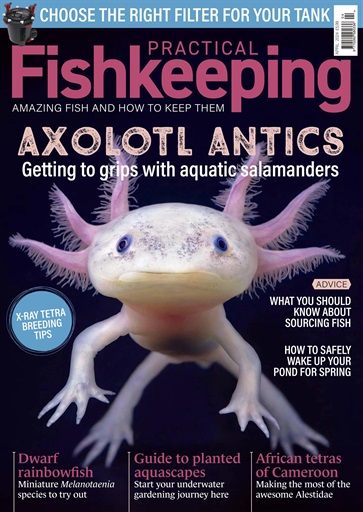 Practical Fishkeeping issue 
