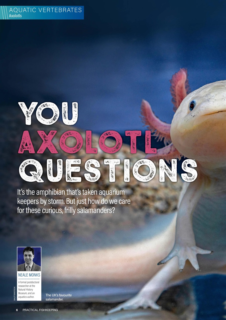 Practical Fishkeeping Preview Pages