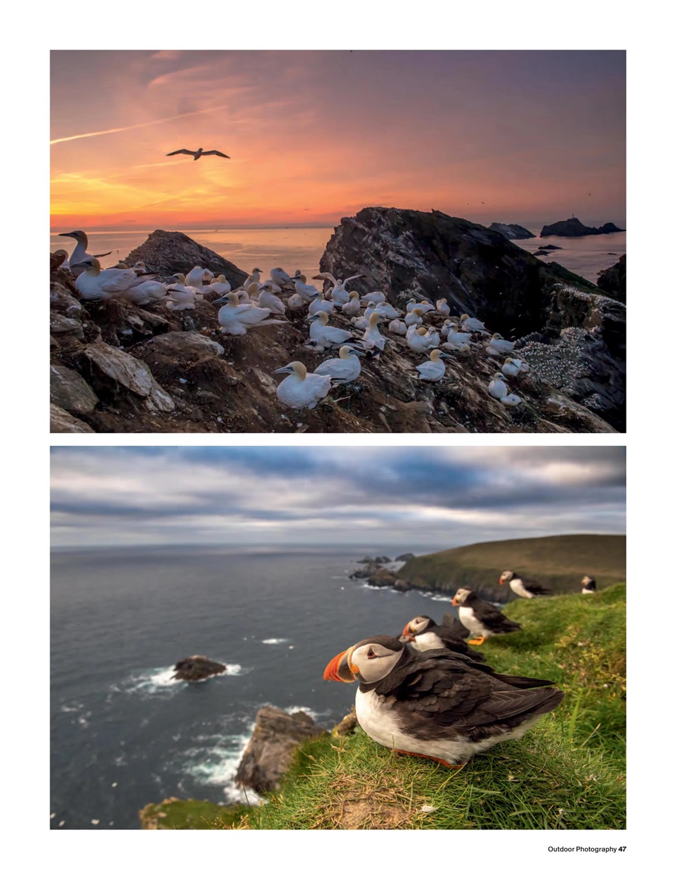Outdoor Photography Preview Pages