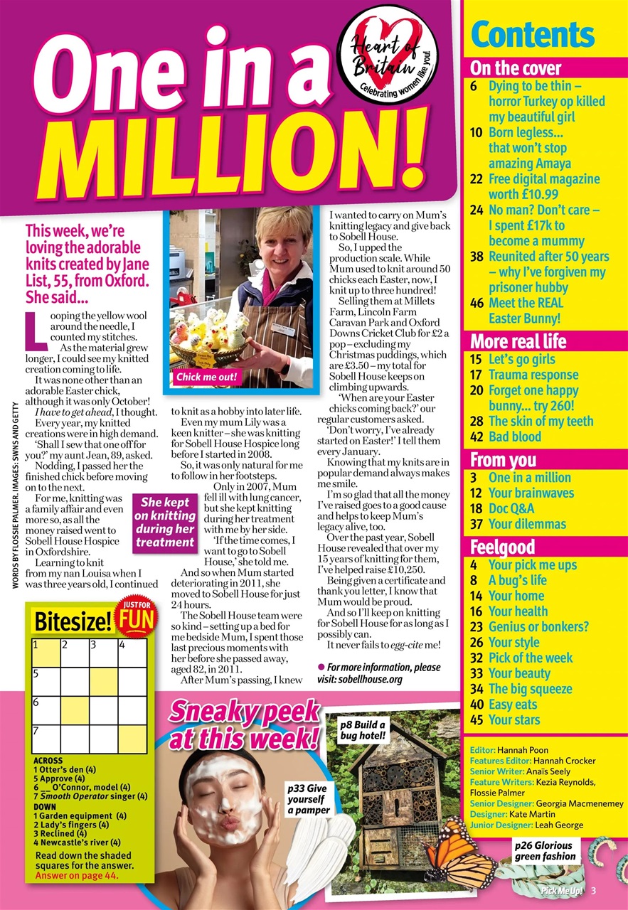 Pick Me Up Preview Pages