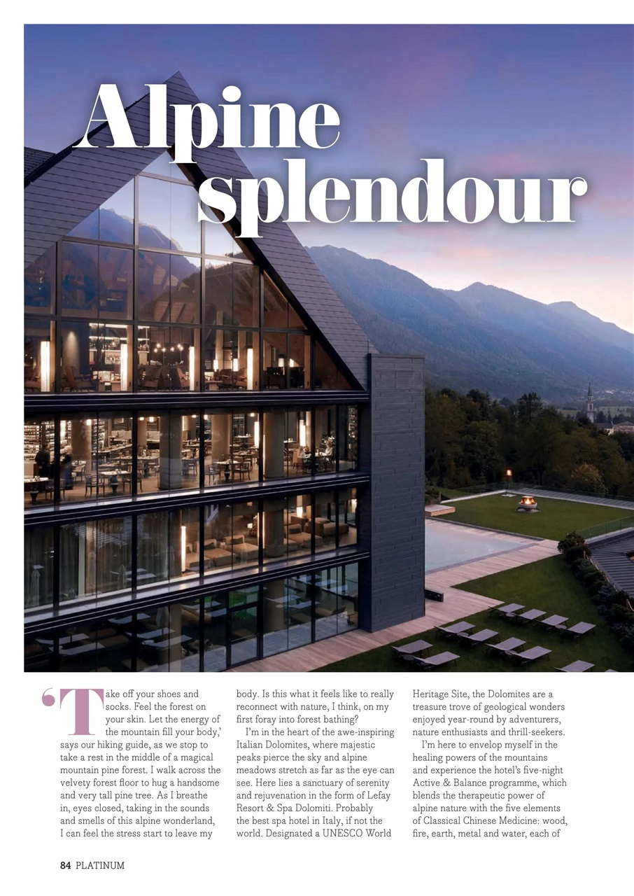 Platinum Preview Pages