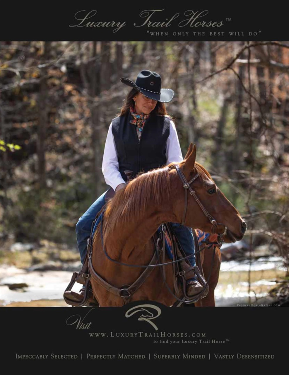 Cowboys and Indians Preview Pages