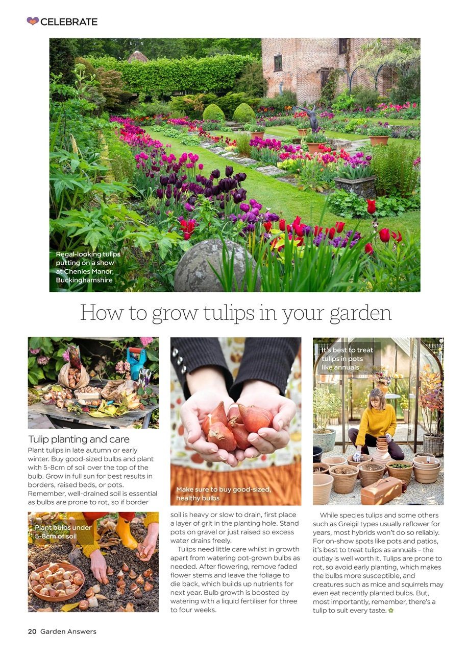Garden Answers Preview Pages