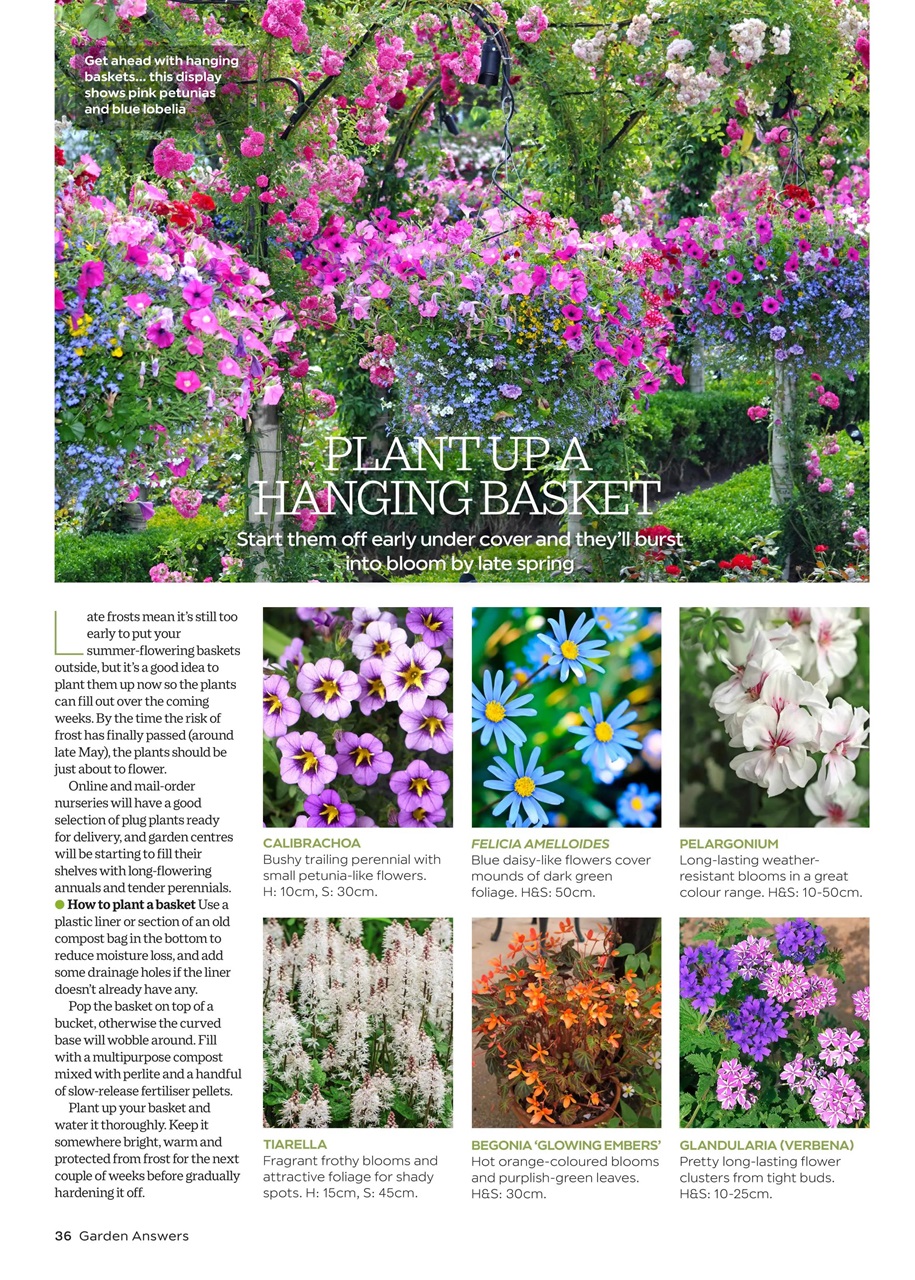 Garden Answers Preview Pages