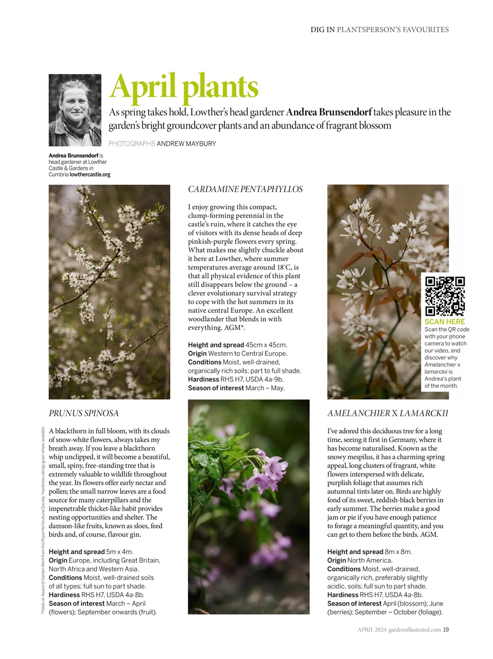 Gardens Illustrated Preview Pages