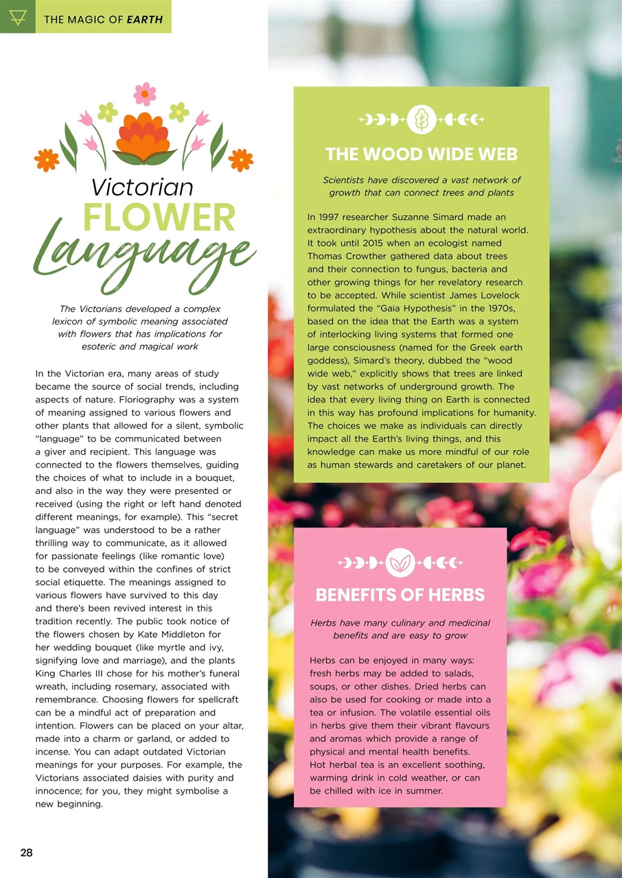 Lifestyle Bookazine Preview Pages