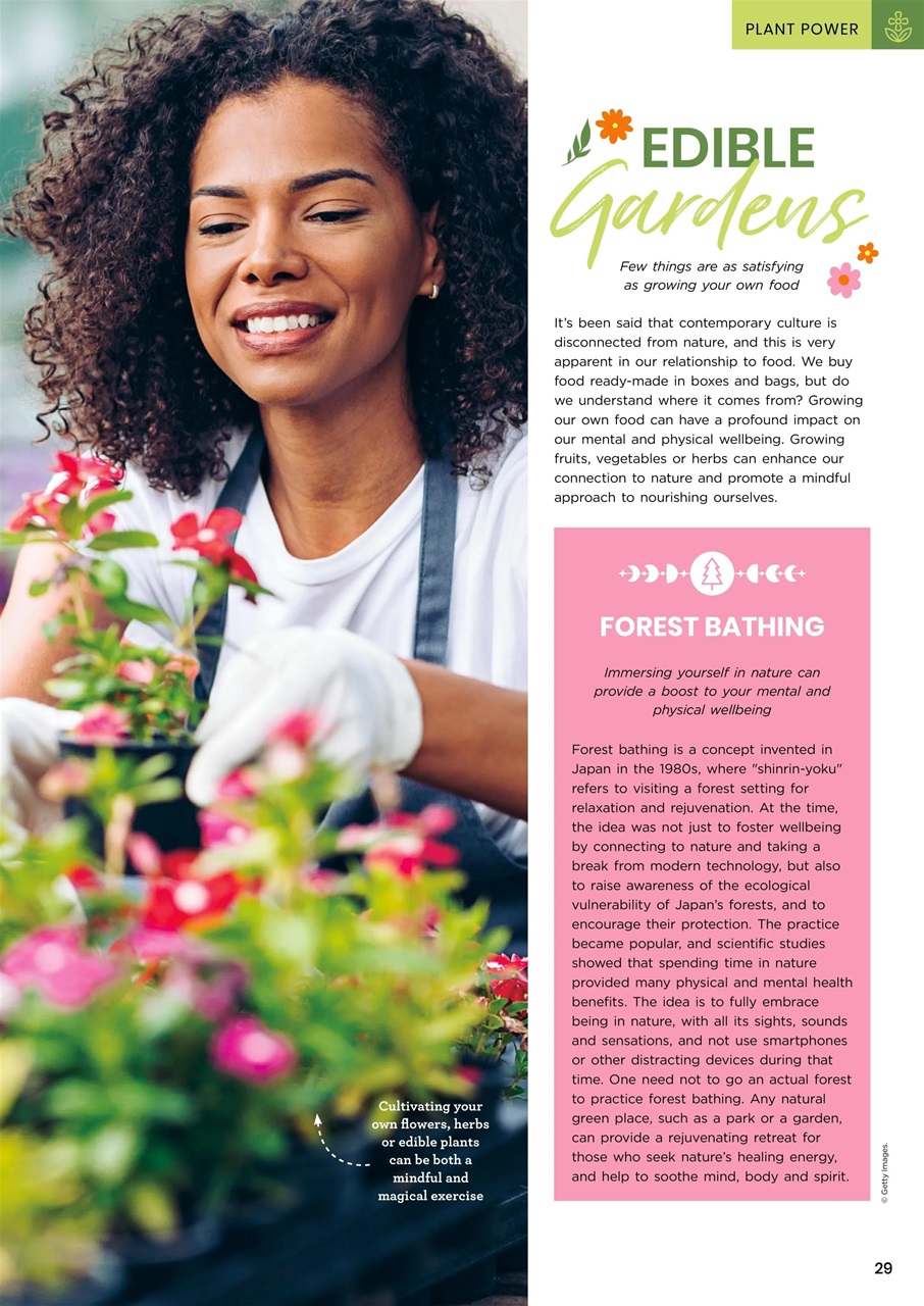Lifestyle Bookazine Preview Pages