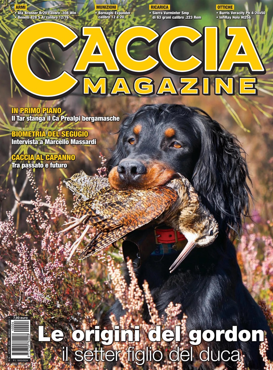 Caccia Magazine Preview Pages