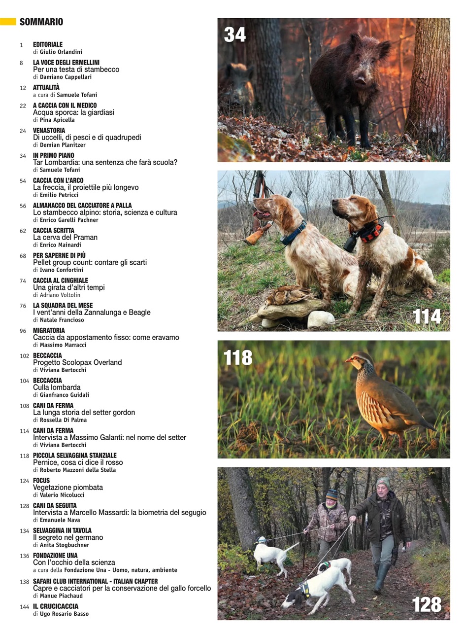 Caccia Magazine Preview Pages