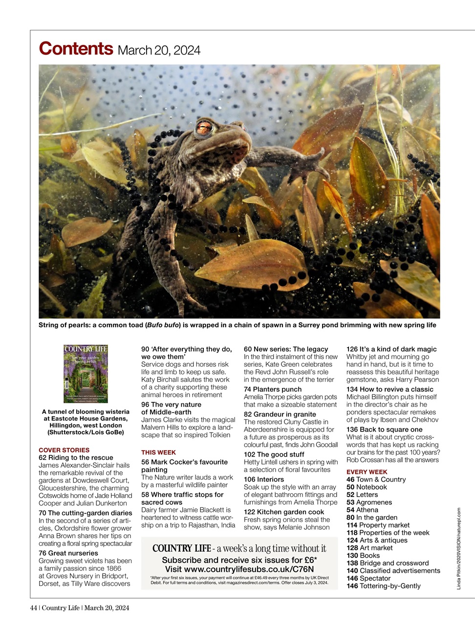 Country Life Preview Pages